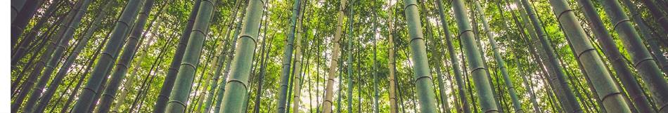 Bamboo is a beautiful option that gives a natural and calming mood to a room. 